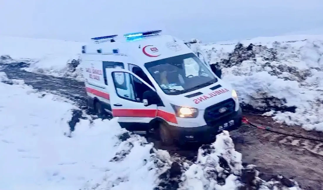 Ağrı’nın yüksek rakımlı köylerinde bahar beklentisi sürerken, nisan ayının ortasında