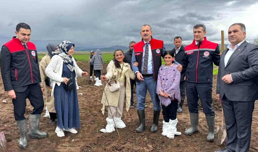 Ağrı’da tarımsal üretimi çeşitlendirmek ve yerel ekonomiyi canlandırmak amacıyla yürütülen