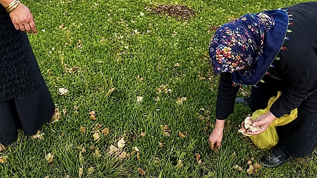 Ağrı’da baharın etkisini göstermesiyle birlikte kırsal alanlarda geleneksel yaşam yeniden