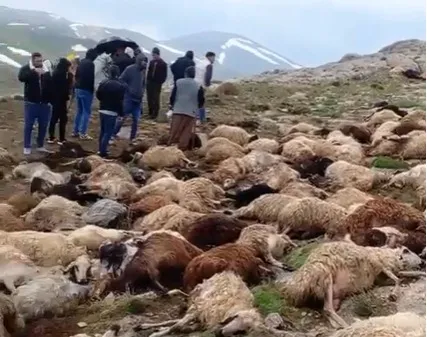 Ağrı’nın Doğubayazıt ilçesinde meydana gelen doğa olayı, hayvancılıkla uğraşan bölge