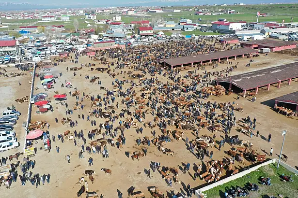 Türkiye’nin hayvancılık alanındaki lokomotif şehirlerinden biri olan Ağrı’da, yaklaşan Kurban