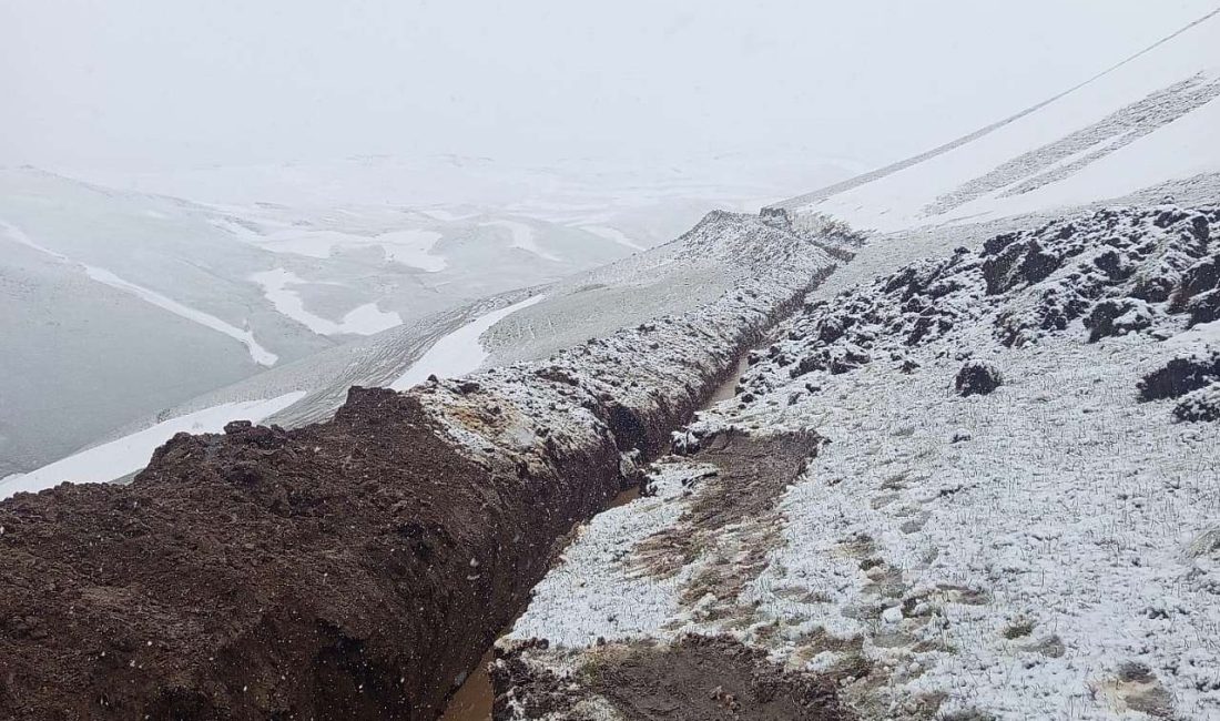 Ağrı'nın Diyadin ilçesine bağlı Hacıhalit köyünde mayıs ayının son günlerinde