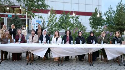 Yükseköğrenim hayatlarını başarıyla tamamlayan gençlerin akademik ve sosyal gelişim süreçlerini