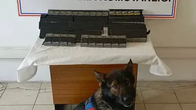 
Ülke genelinde vergi kayıplarının önlenmesi, haksız rekabetin engellenmesi ve yasa