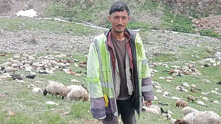 Ağrı’nın Taşlıçay ilçesine bağlı Dilekyazı köyü yaylası, gece yarısı güpegündüz